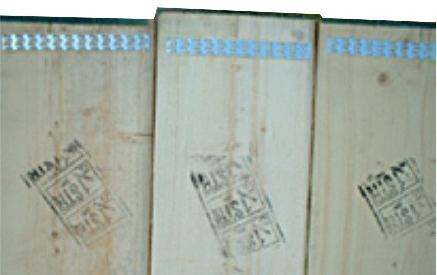 CEO Cleated Spruce Scaffold Planks (7809946501)