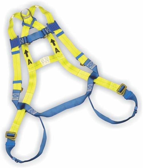 Load image into Gallery viewer, McCordick Roofer Fall Protection Kit (7566236549)
